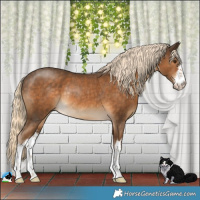 Horse Color:White Spotted Chocolate Palomino Rabicano 