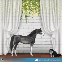 Horse Color:Black Sabino Rabicano