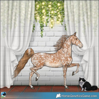 Horse Color:Chestnut Appaloosa Rabicano 