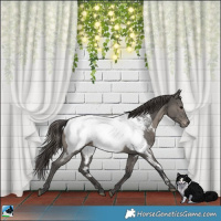 Horse Color:Grullo Snowcap