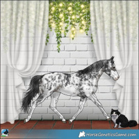 Horse Color:Black Sabino Near Leopard