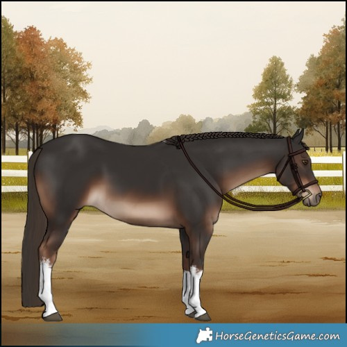 Horse Color:White Spotted Liver Chestnut 