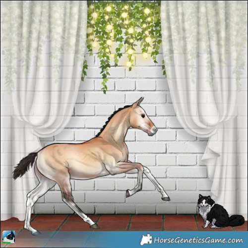 Horse Color:Bay Onyx 