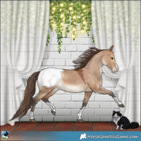 Horse Color:Bay Dun Snowcap