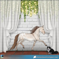 Horse Color:Red Dun Roan Blanket