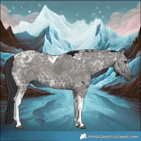 Horse Color:Grullo Ice Tobiano 