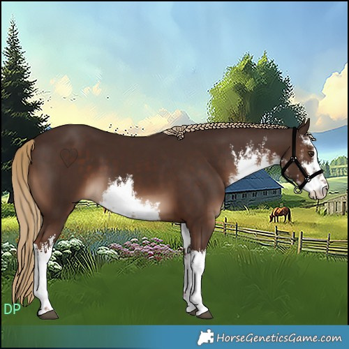 Horse Color:White Spotted Liver Chestnut