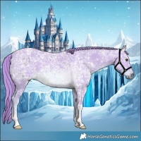 Horse Color:Watercolor Chestnut Ice 
