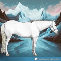 Horse Color:Watercolor Red Dun Ice Sabino Splash Frame 