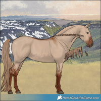 Horse Color:Red Dun