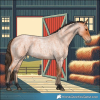 Horse Color:Bay Roan 