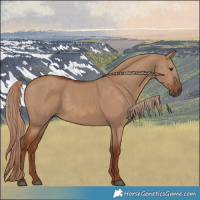 Horse Color:Red Dun