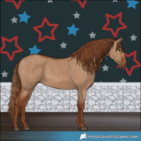 Horse Color:Red Dun 