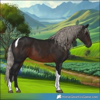 Horse Color:Gray Silver Brown Tobiano Rabicano