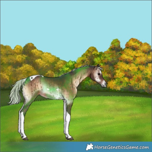Horse Color:Silver Brown Onyx Tobiano 