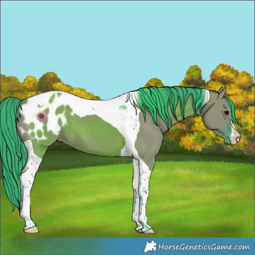 Horse Color:Watercolor White Spotted Grullo Tobiano Blanket 