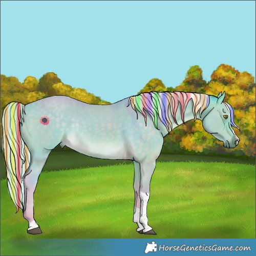 Horse Color:Painted Watercolor Silver Buckskin Dun Tobiano Rabicano 