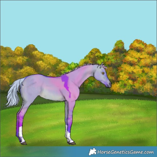 Horse Color:Watercolor Silver Brown Dun Tobiano Rabicano 