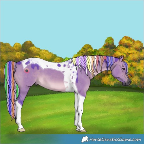 Horse Color:Gray Painted Watercolor Silver Brown Dun Tobiano 