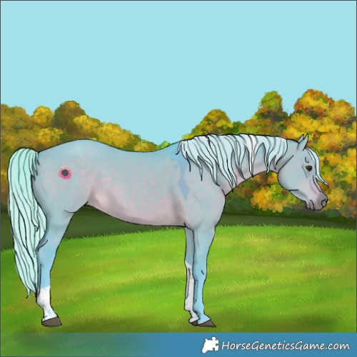 Horse Color:Watercolor Silver Brown Dun Tobiano Rabicano