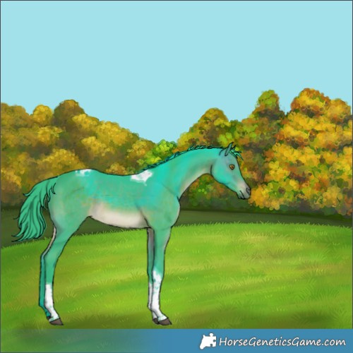 Horse Color:Watercolor Brown Tobiano Rabicano 