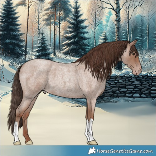 Horse Color:Classic Champagne Roan 