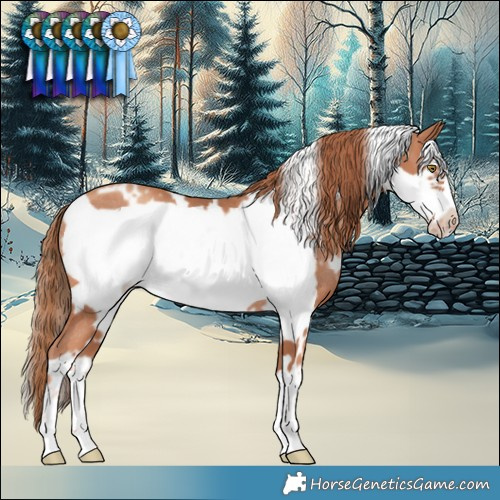 Horse Color:White Spotted Gold Champagne Frame Rabicano 