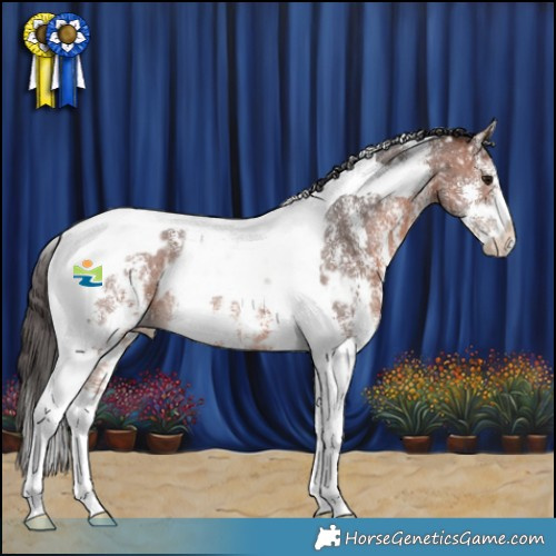 Horse Color:Bay Sabino Tobiano Appaloosa Rabicano 