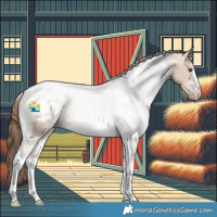 Horse Color:Grullo Pearl Tobiano Appaloosa 