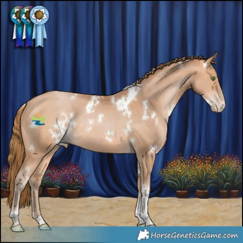 Horse Color:White Spotted Bay Pearl Tobiano Rabicano 