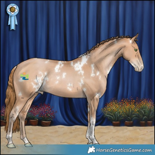 Horse Color:White Spotted Bay Pearl Tobiano Rabicano 