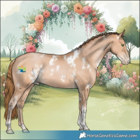 Horse Color:White Spotted Bay Pearl Tobiano Rabicano
