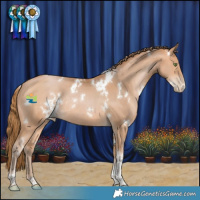 Horse Color:White Spotted Bay Pearl Tobiano Rabicano 
