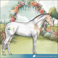 Horse Color:White Spotted Smoky Black Pearl Tobiano Rabicano 