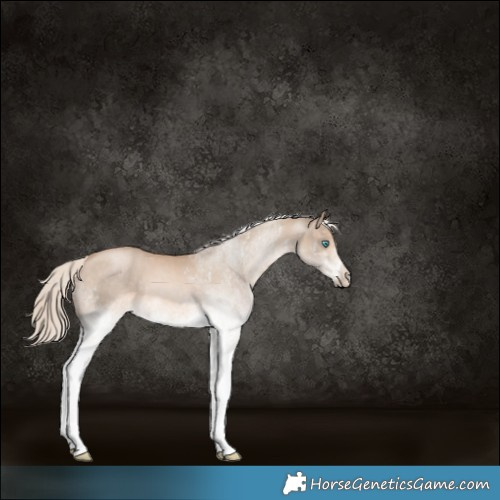 Horse Color:White Spotted Chocolate Palomino Pearl 