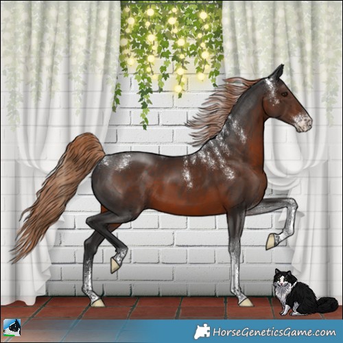 Horse Color:Powder White Liver Chestnut Sabino