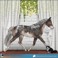 Horse Color:Powder White Liver Chestnut Mushroom Sabino Rabicano