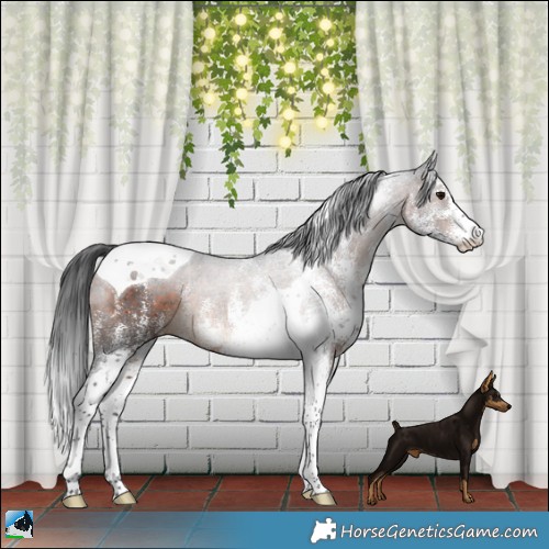 Horse Color:White Spotted Brown Mushroom Tobiano Rabicano 