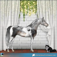 Horse Color:Brown Tobiano Rabicano 