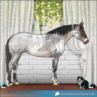 Horse Color:White Spotted Brown Roan Mushroom 