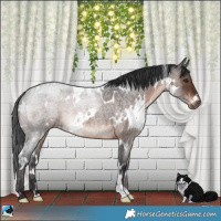 Horse Color:White Spotted Brown Roan Mushroom