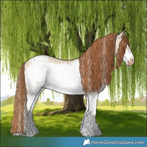 Horse Color:Red Dun Sabino Frame Blanket 