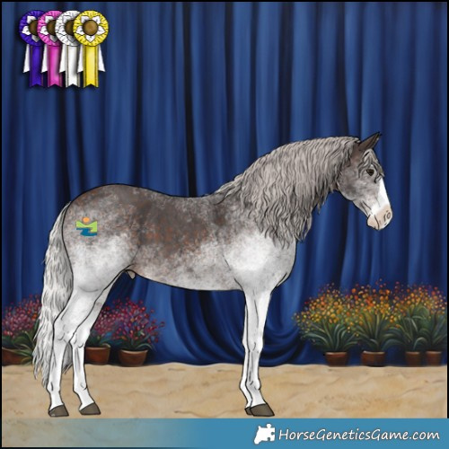 Horse Color:White Spotted Silver Brown Splash 