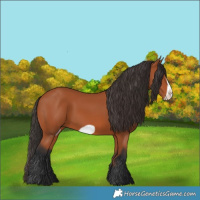 Horse Color:Bay Frame