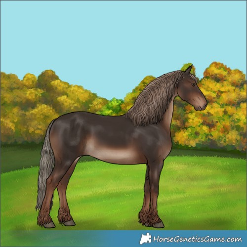 Horse Color:White Spotted Liver Chestnut 