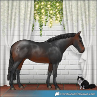 Horse Color:Brown 