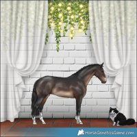 Horse Color:Brown 
