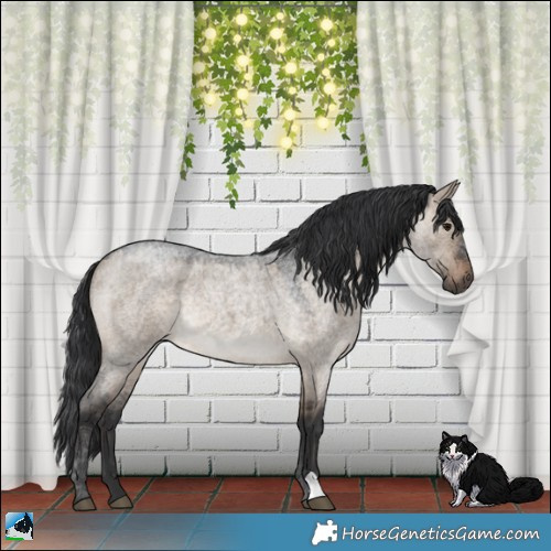 Horse Color:Brown Roan Dun Rabicano