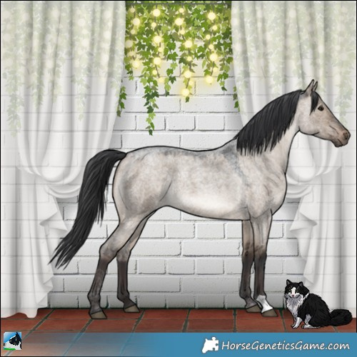 Horse Color:Brown Roan Dun Rabicano 