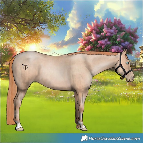 Horse Color:Gold Champagne Pearl Rabicano  and Amber Champagne Pearl Rabicano 